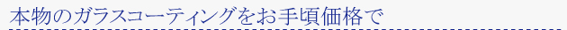 ��ʪ�Υ��饹�����ƥ��󥰤�,���꺢���ʤ�