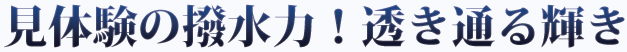 ���θ��������ϡ�Ʃ���̤뵱��