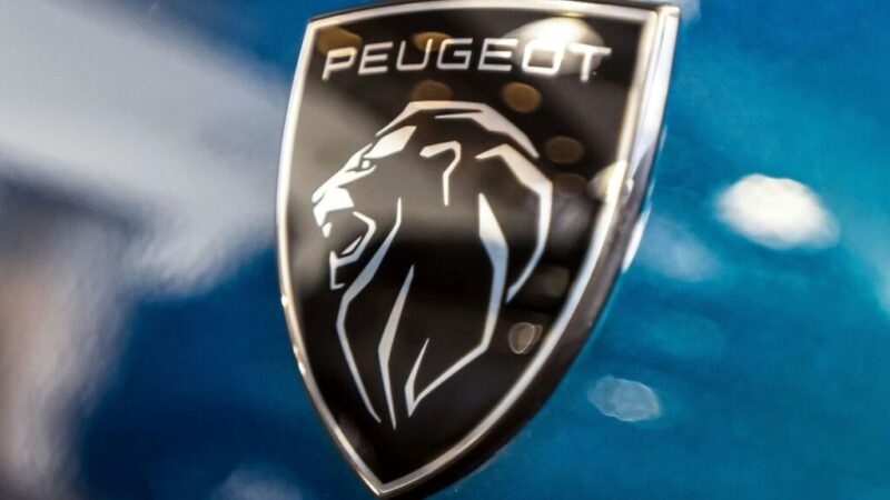 プジョーディーラーで施工できる純正コーティングについて解説するイメージ