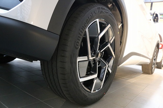 - トータルカービューティIIC 東京都 世田谷区 カーコーティング BYDATTO3