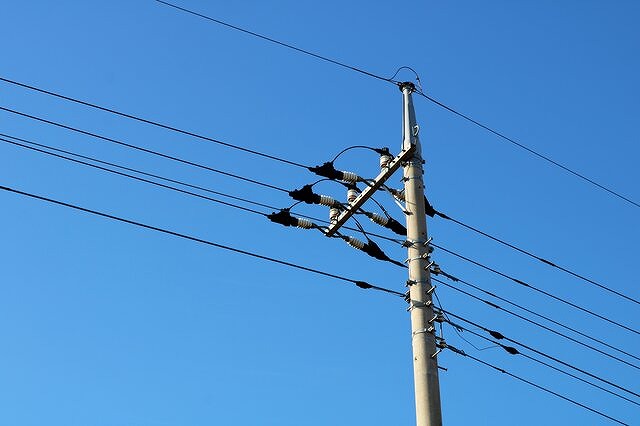 電線への対策を電線会社に依頼