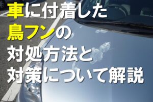 車に付着した鳥フンの対処方法と対策について解説