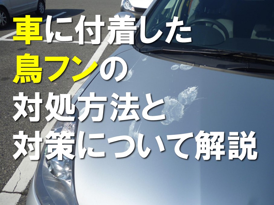 車に付着した鳥フンの掃除・対策について解説 ｜ トータルカービューティIIC