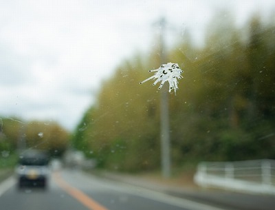 ウインドウガラス　鳥糞付着画像