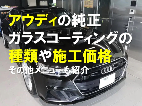 ★　未使用　アウディ 純正 AJS コーティング リッチシャイン メンテナンスキット 　★　