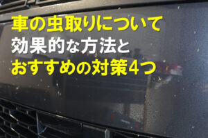 車の虫取りについて効果的な方法とおすすめの対策4つのアイキャッチ