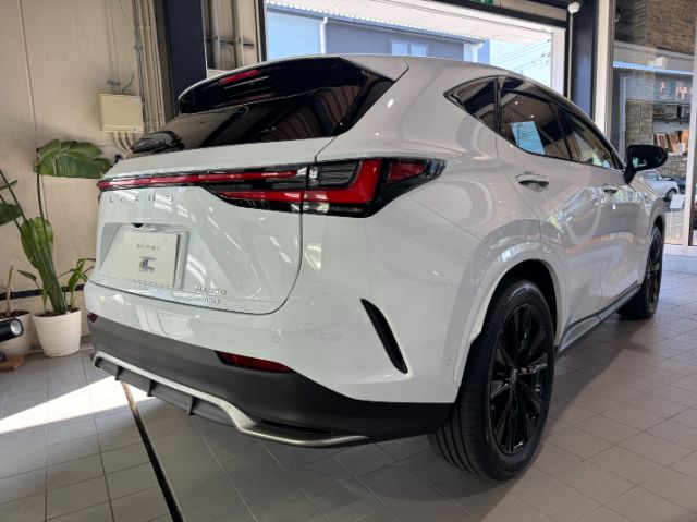 レクサス NX350　ガラスコーティング施工後　完成写真　銚子市