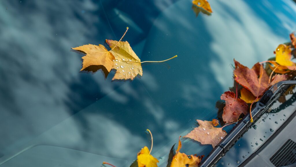 - トータルカービューティIIC フロントガラスコーティングに関するよくある質問に答えていくイメージ