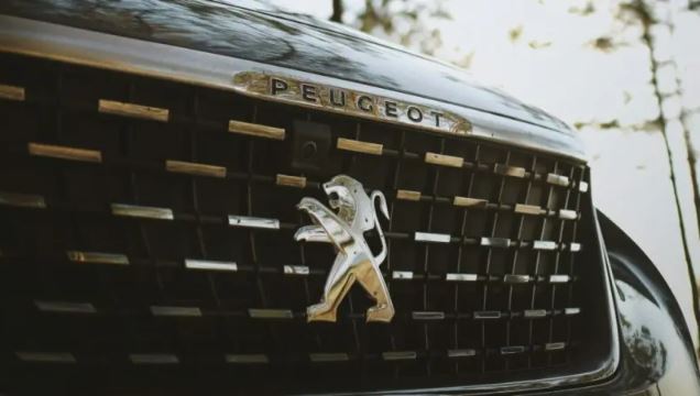 主なコーティング施工店の特徴と傾向について解説するイメージ