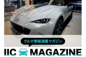 IICマガジンvol28サムネイル