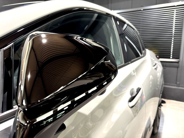 レクサスRZ550e　ミラー　セラミックコーティング