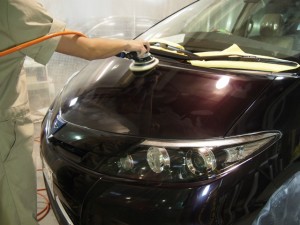 エスティマ バインダー - トータルカービューティIIC エスティマ バインダー