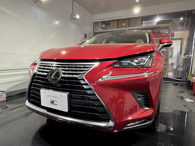 レクサスNX　ヘッドライトプロテクションフィルム施工後の車体写真