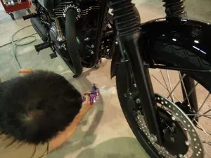 カワサキＷ800　バイクコーティング