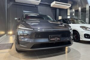 テスラモデルY　ステルスグレー　セラミックコーティング施工後　市川