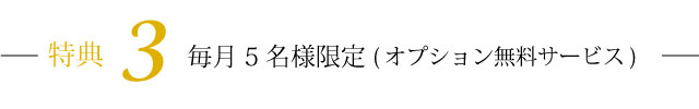 特典3毎月5名様限定(オプション無料サービス)