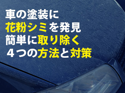 車の塗装に花粉シミを発見 簡単に取り除く４つの方法と対策 トータルカービューティiic