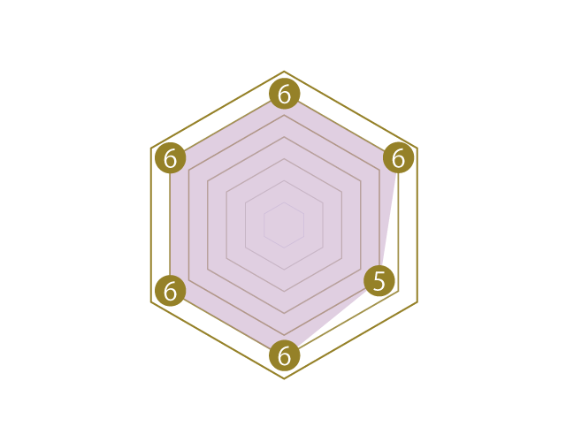 System X PRO