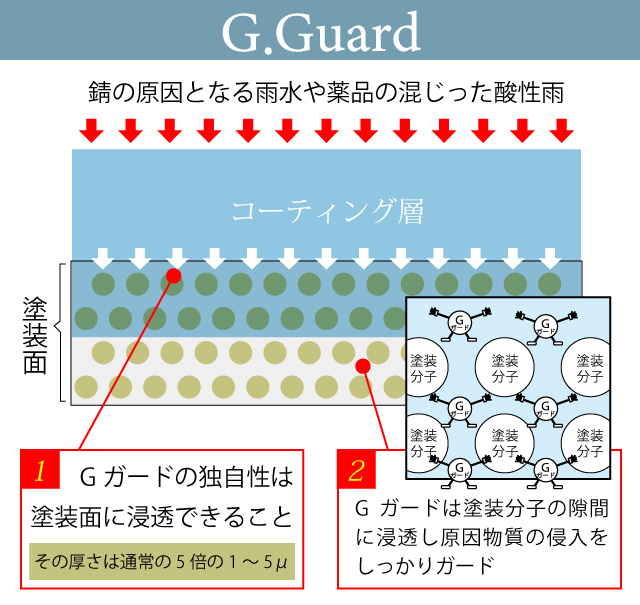 Gガードは塗装分子の隙間に浸透し、原因物質の侵入をしっかりガード