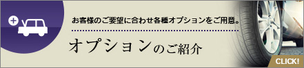 オプションコーティング