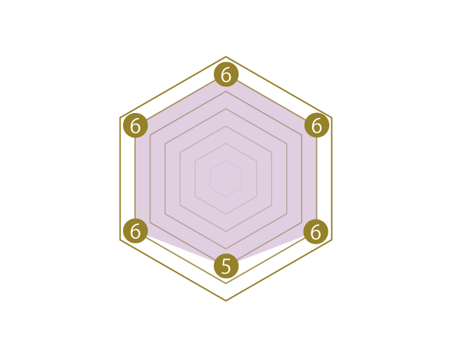 SCHILD グラフェン