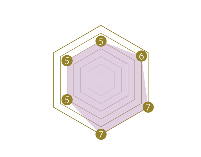 SCHILD グラフェン