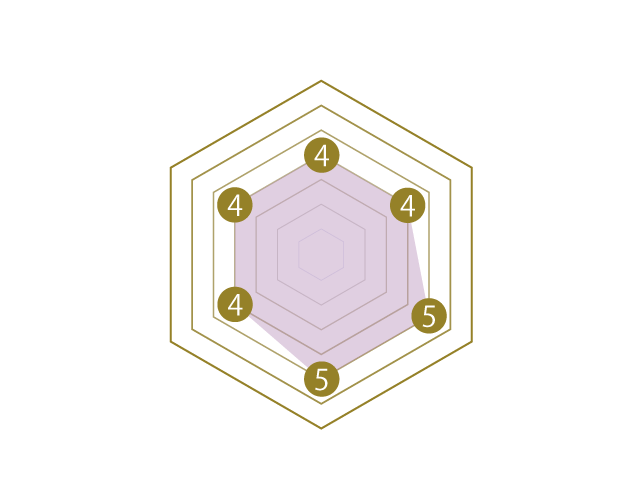 SCHILD グラフェン