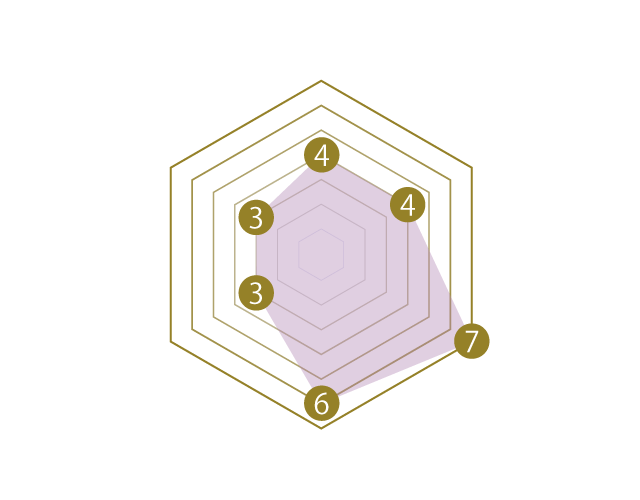 SCHILD SHIELD